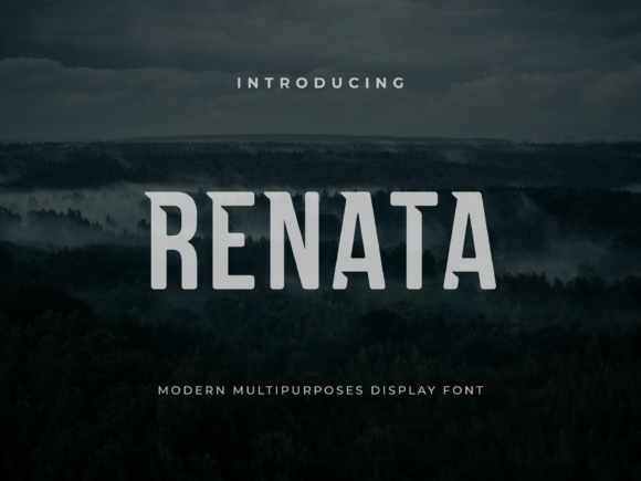 Renata: The Bold Statement Your Design Library Needs